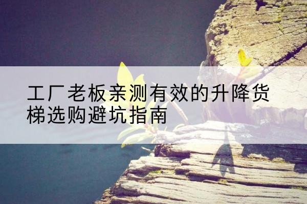 荔城升降货梯怎么选-工厂老板亲测有效的升降货梯选购避坑指南