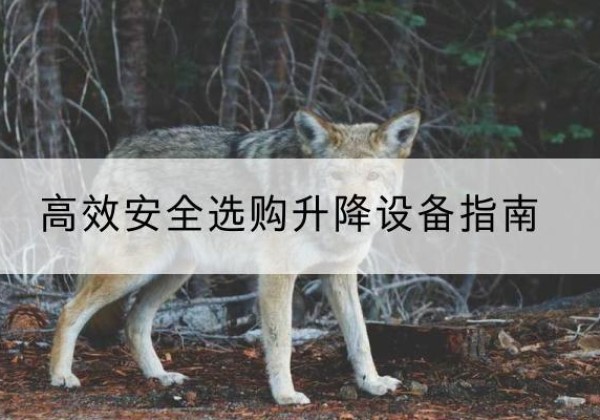 荔城升降货梯厂家推荐-*安全选购升降设备指南