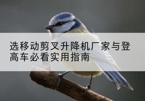 荔城电动升降机厂家-选移动剪叉升降机厂家与登高车必看实用指南