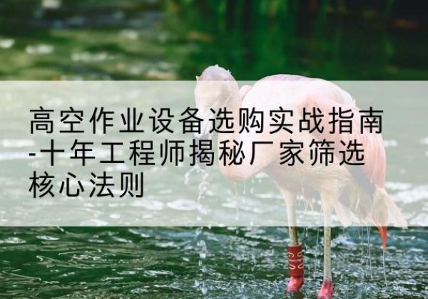 荔城剪叉式升降机厂家-高空作业设备选购实战指南-十年工程师揭秘厂家筛选核心法则