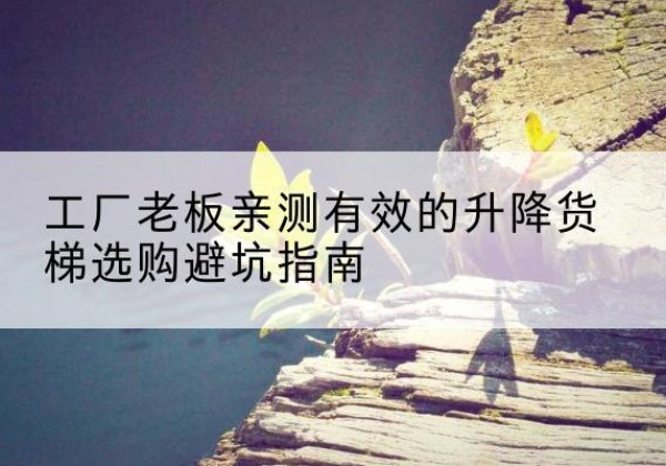 荔城升降货梯怎么选-工厂老板亲测有效的升降货梯选购避坑指南